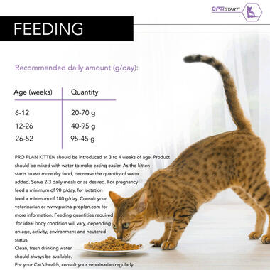 PRO PLAN Kitten OPTISTART Chicken Dry Cat Food