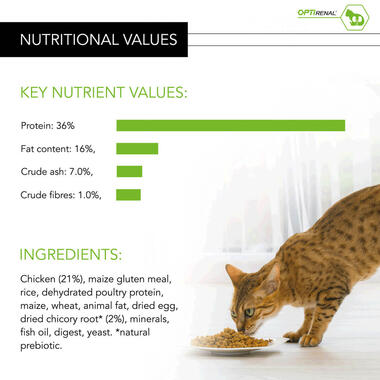 PRO PLAN Healthy Kidneys Chicken Dry Cat Food