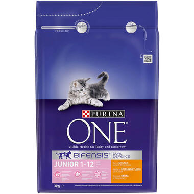 Purina One Kitten