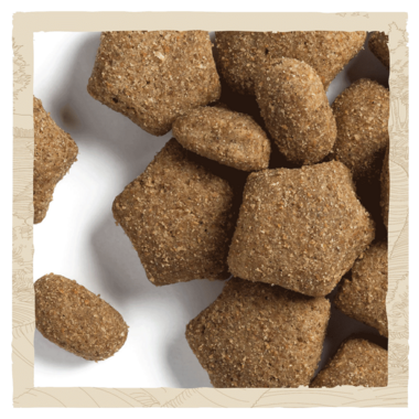 Dog Chow® Light Turkey Dry Dog Food