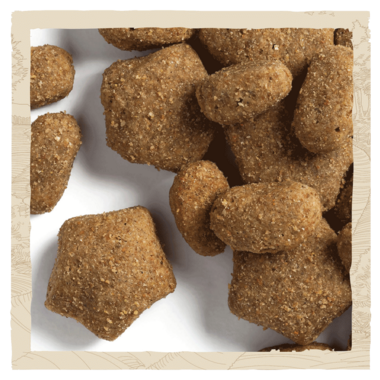 Sensitive Salmon Dry Dog Food