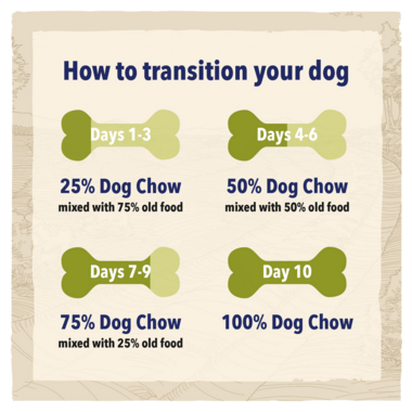 How to transition your dog