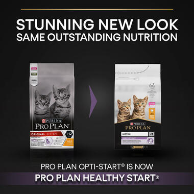 Purina Pro Plan Kitten Healthy Start Dry Cat Food with Chicken