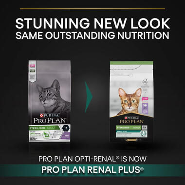 Purina Pro Plan Sterilised Adult Renal Plus Dry Cat Food with Turkey