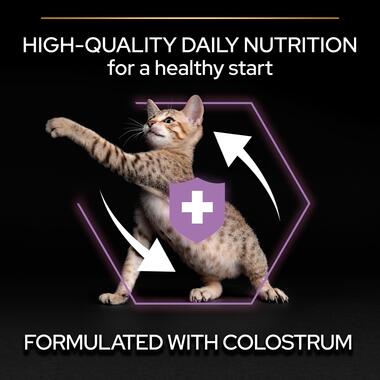 Purina Pro Plan Kitten Healthy Start Dry Cat Food with Chicken