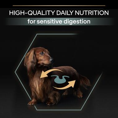 PRO PLAN® Small and Mini Sensitive Digestion Lamb Dry Dog Food