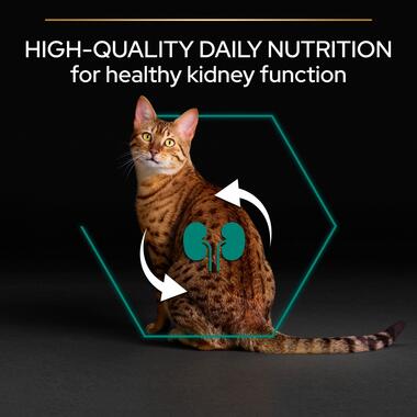 Purina Pro Plan Adult Renal Plus Everyday Dry Cat Food with Chicken