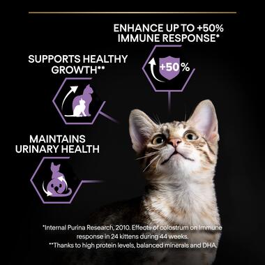 Purina Pro Plan Kitten Healthy Start Dry Cat Food with Chicken