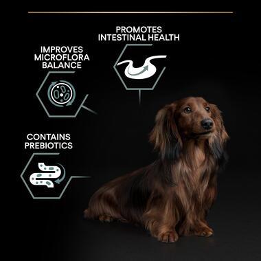 PRO PLAN® Small and Mini Sensitive Digestion Lamb Dry Dog Food