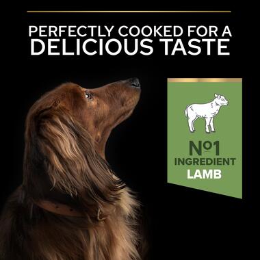 PRO PLAN® Small and Mini Sensitive Digestion Lamb Dry Dog Food
