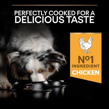 PRO PLAN® Medium OPTIBALANCE Chicken Dry Dog Food