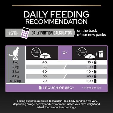 Purina pro plan kitten feeding guide 2025