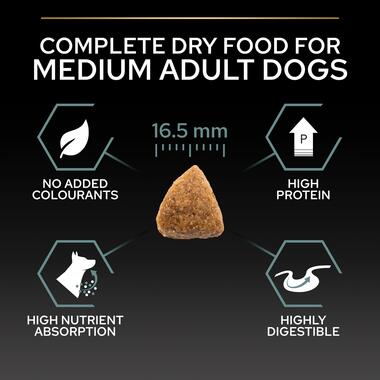 Most digestible protein for dogs online