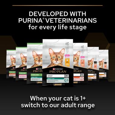 Purina Pro Plan Kitten Healthy Start Dry Cat Food with Chicken