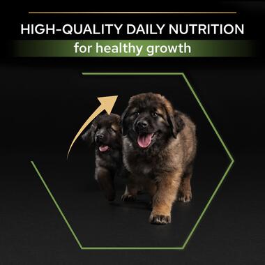 PRO PLAN® Large Robust Puppy OPTISTART Chicken Dry Dog Food