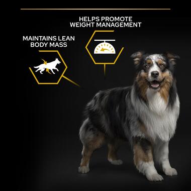 PRO PLAN® Light Weight Management Chicken Dry Dog Food