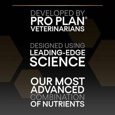 PRO PLAN® Small and Mini Sensitive Skin Salmon Dry Puppy Food