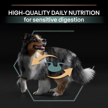 Purina Pro Plan Sensitive Digestion Medium Adult Dry Dog food with Lamb