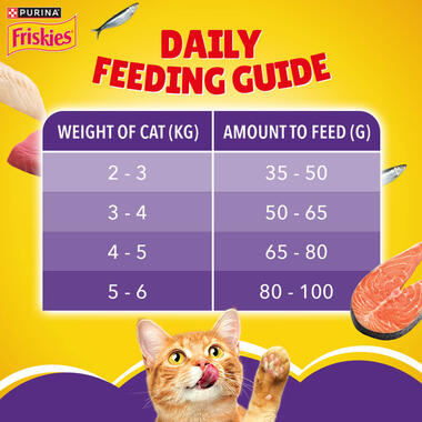 FRISKIES Adult Surfin' Favourites feeding