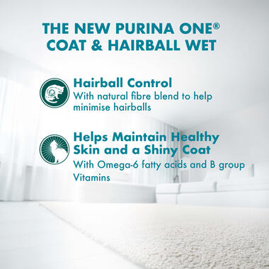Adult Hairball with Chicken Benefits