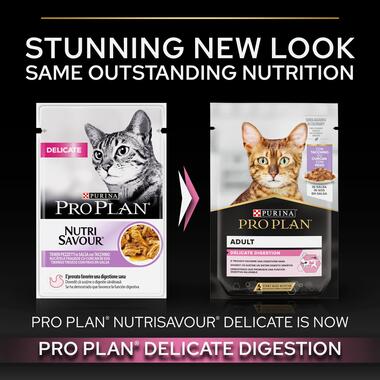 purina_pro_plan_delicate_digestion_wet_cat_food_turkey_in_gravy_2