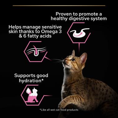 purina_pro_plan_delicate_digestion_wet_cat_food_turkey_in_gravy_3