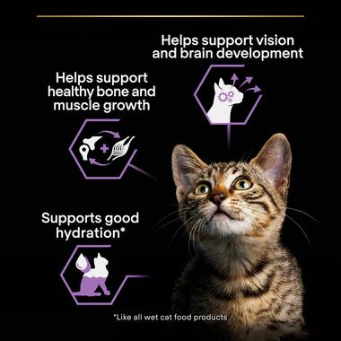 purina_pro_plan_kitten_wet_cat_food_turkey_in_gravy_4