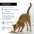 PRO PLAN Housecat NUTRISAVOUR Salmon in Gravy Wet Cat Food