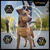 PRO PLAN Light Weight Management Chicken Dry Dog Food