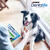 Dentalife Medium Dog