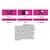 PRO PLAN VETERINARY DIETS UR Urinary Chicken Wet Cat Food Pouch
