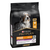 PRO PLAN Medium and Large Adult 7+ Age Defence Chicken Dry Dog Food