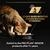 purina_pro_plan_delicate_digestion_wet_cat_food_turkey_in_gravy_8