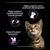 purina_pro_plan_kitten_wet_cat_food_turkey_in_gravy_4