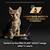 purina_pro_plan_kitten_wet_cat_food_turkey_in_gravy_9