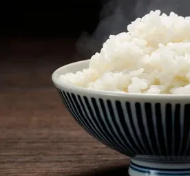 Can Cats Eat Rice?