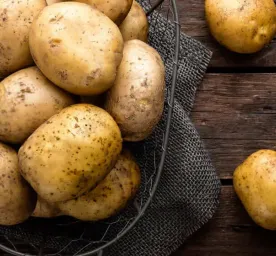Can Dogs Eat Potatoes? 