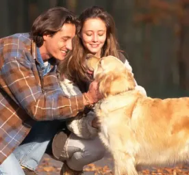 Why are dogs so loyal?