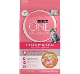 Purina ONE® Active Kitten Chicken