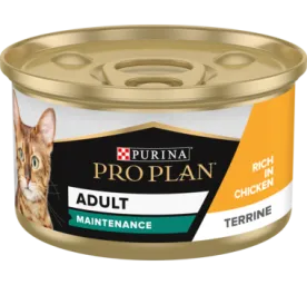 Purina Pro Plan Adult Maintenance, Wet Cat Food, Terrine rich in Chicken