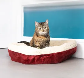 Choosing the Right Cat Bed for Your Cat