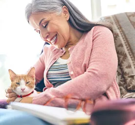 cat