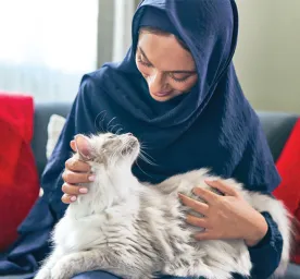 Why Does My Cat Meow At Night?