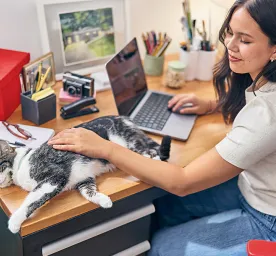 Unity2_D03S18A_OFFICE_DOG_CAT_BCAM-20527_FINAL