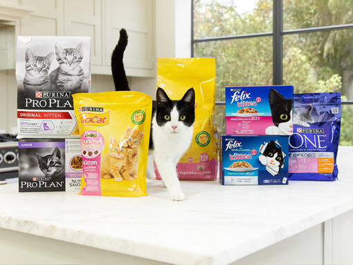 Cat products