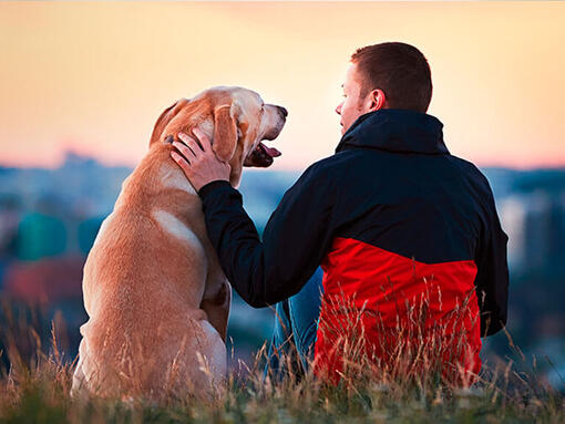 Man sat outside with Labrador