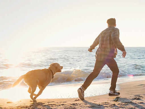 Man and dog running on the beach