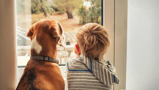 Child looking out of a window with dog