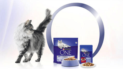 purina one innovation