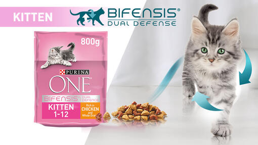 Purina One Kitten try for free